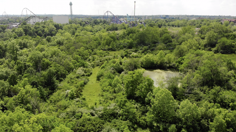 Safari Southwest Shot.png