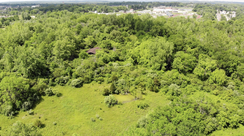 Safari North Shot.png