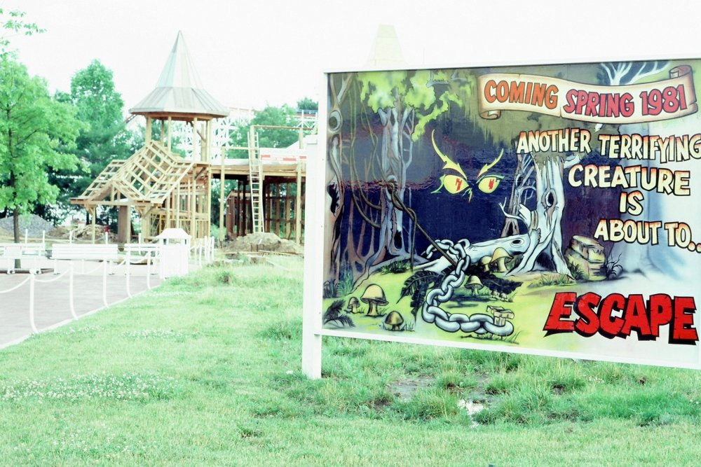 Bat Construction.jpg