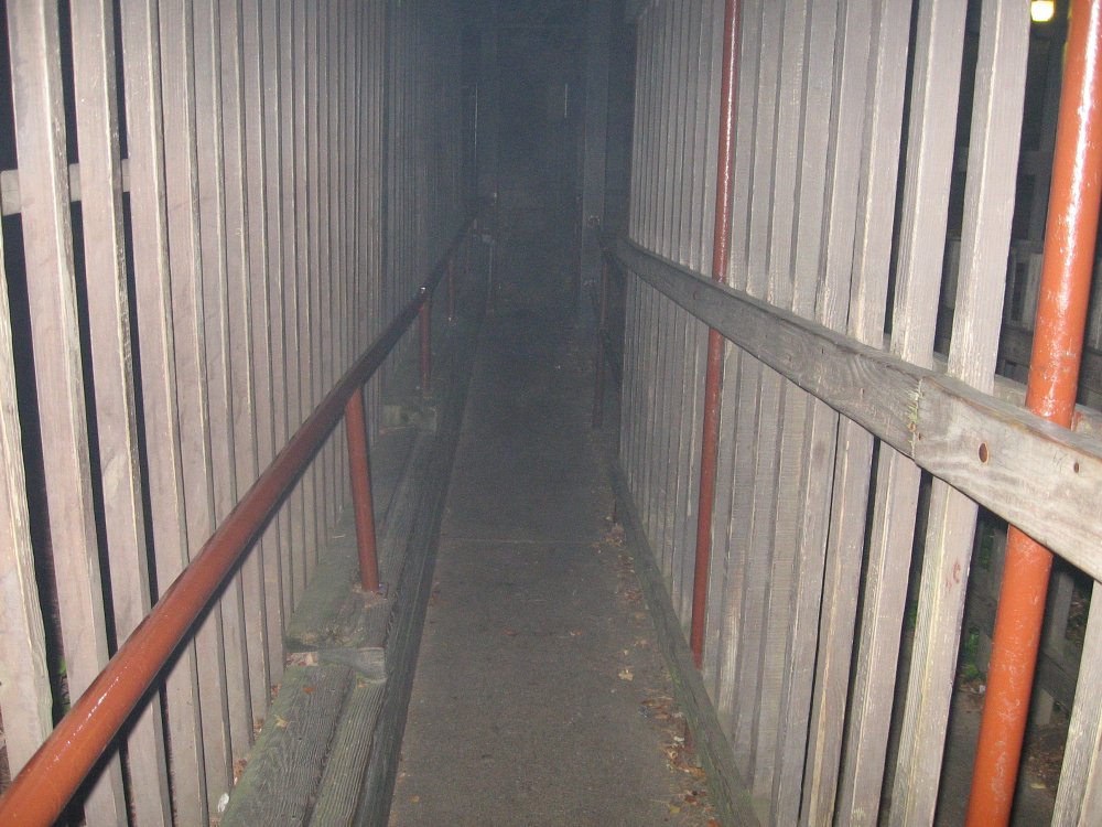 Canon BEASTBASH2006   october 7 370.jpg