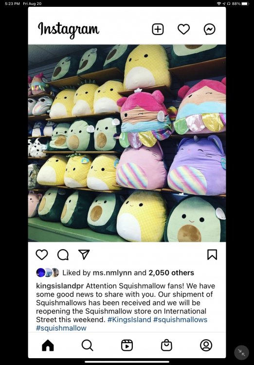 Kings Island opens new store that's devoted entirely to Squishmallows