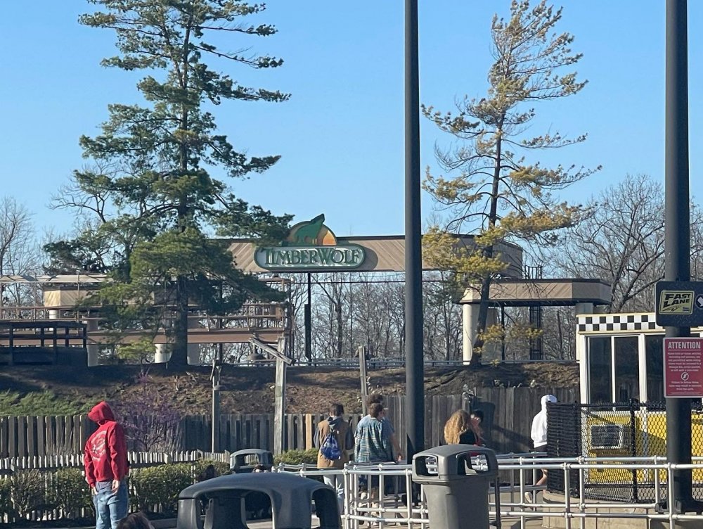 KI Timberwolf 2022.jpg