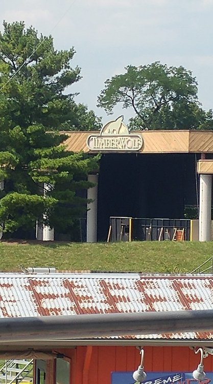 KI Timberwolf 2021.jpg