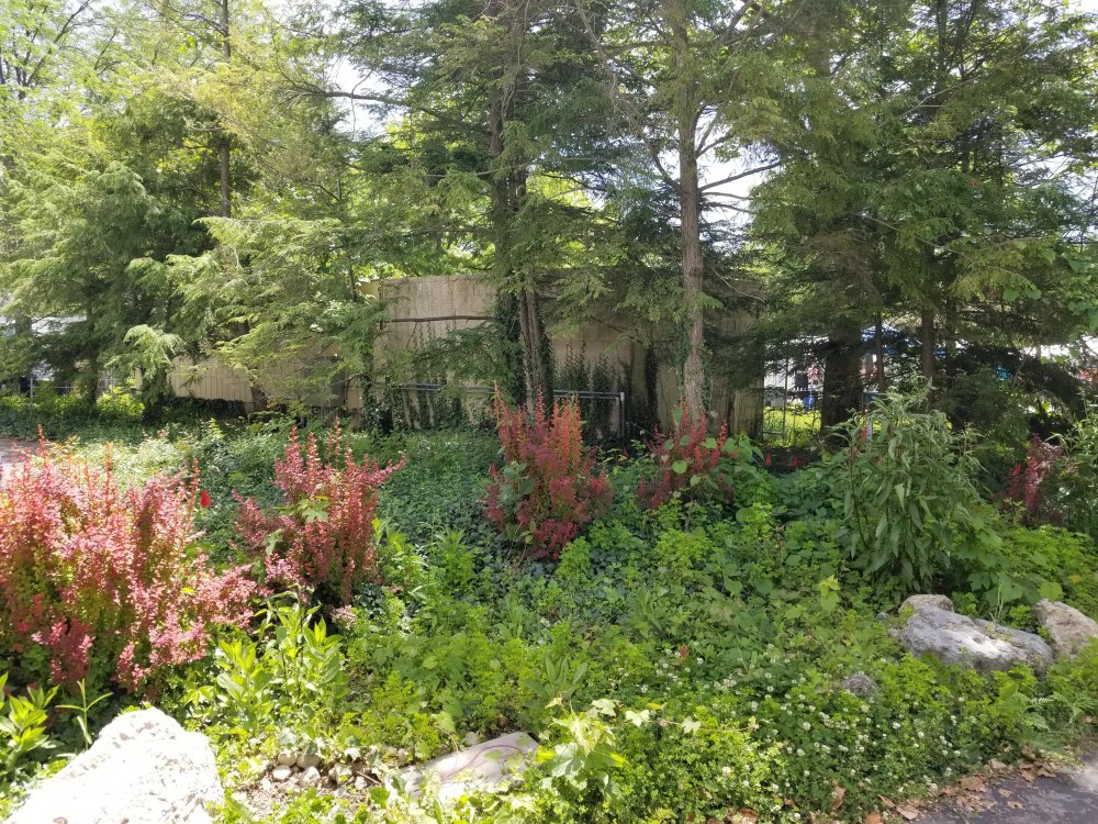 20260531_141746.jpg