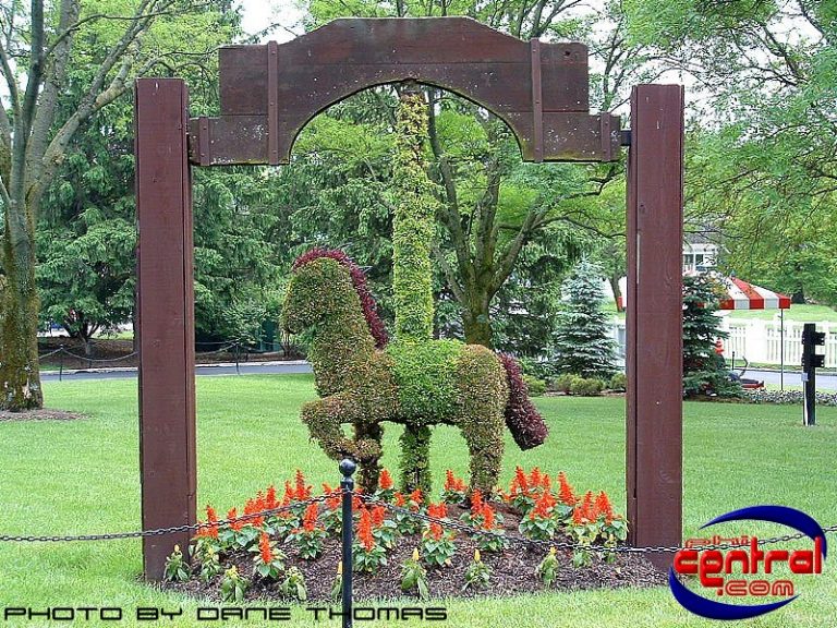 Horse Landscaping