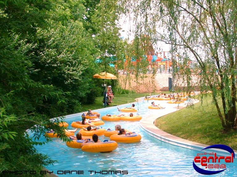 Crocodile Run