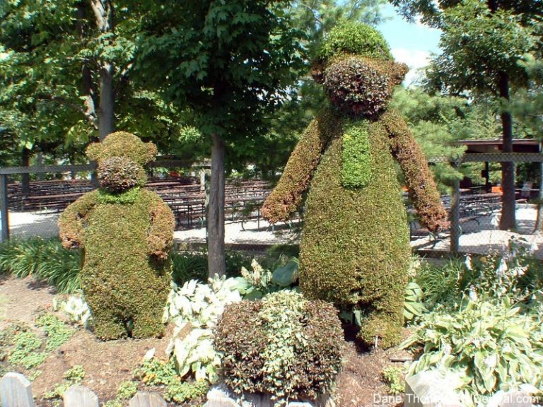 Picnic Grove