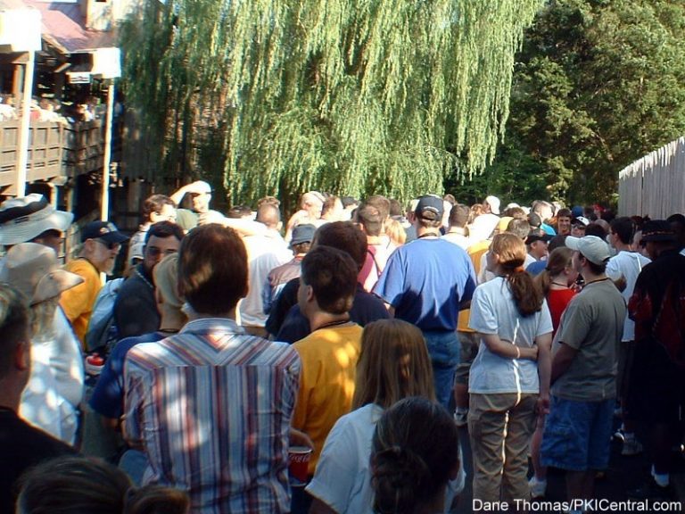 Crowd