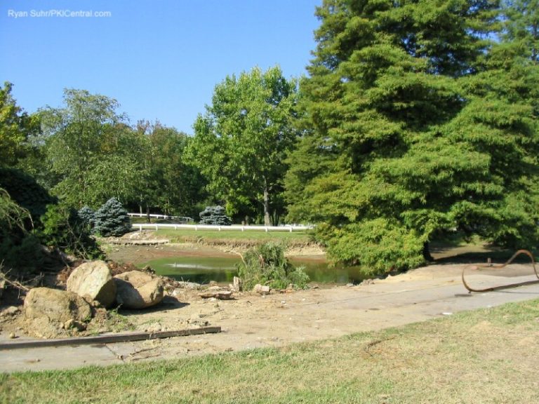 Antique Cars' Demolition