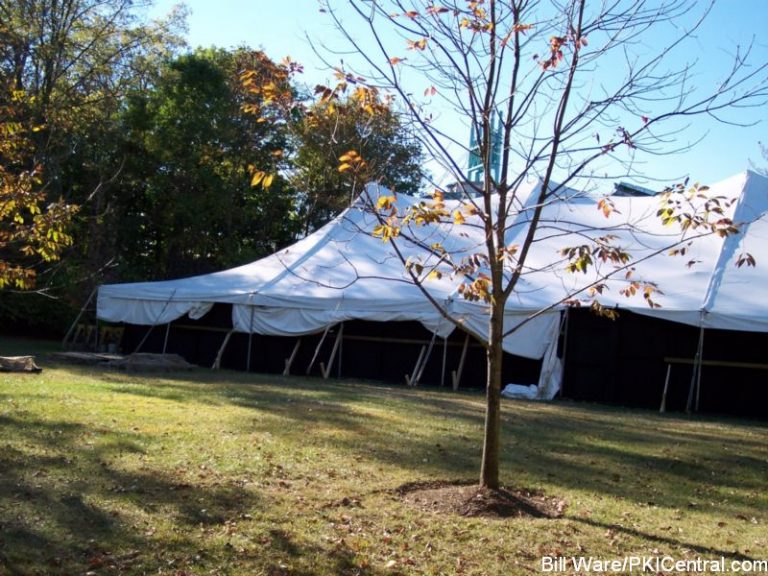 Sleepy Hollow Tent