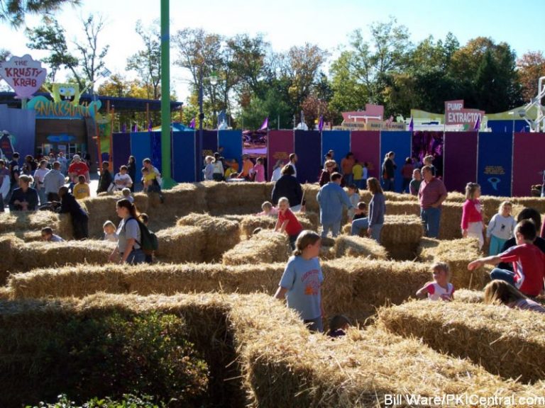 Mini Maze of Mystery
