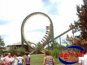 King Cobra
