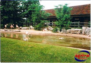 Lion Country Safari & Monorail