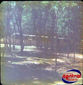 Lion Country Safari & Monorail