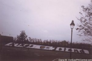 Floral Display