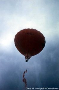 Hot Air Ballon