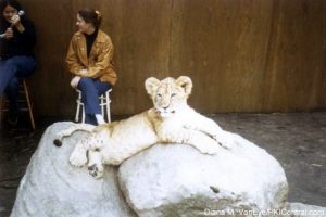Lion