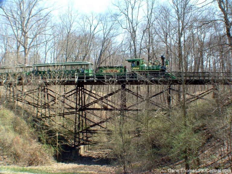 Train in woods