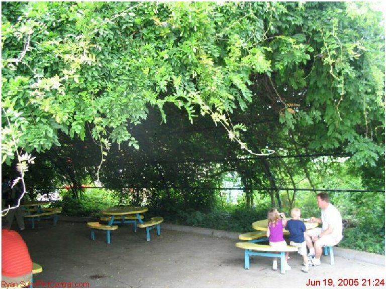 Covered plant walkway in HBL