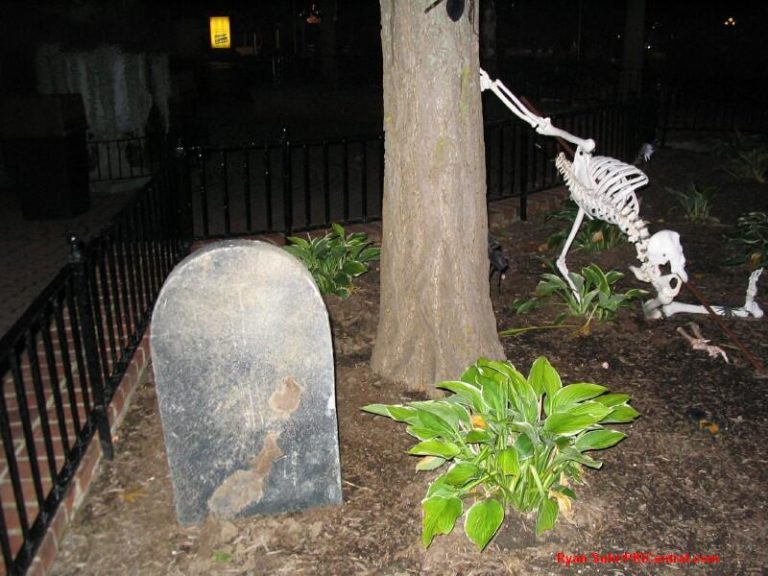 Fearfest Themeing