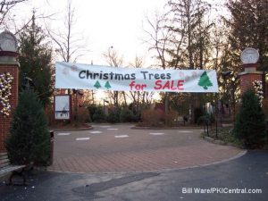 Nick Tree Lot