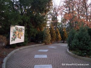 Nick Tree Lot