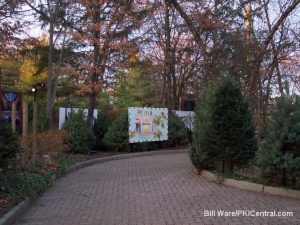 Nick Tree Lot