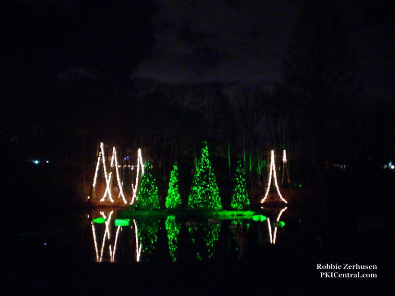 Holiday Illuminations