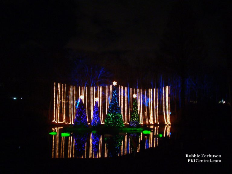 Holiday Illuminations