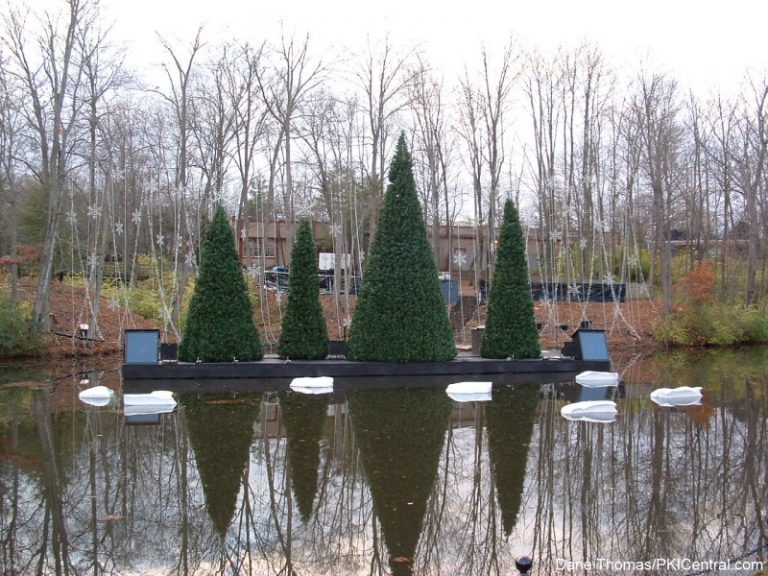 Winterfest Set-Up