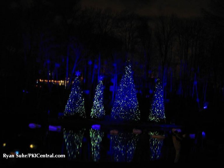Holiday Illuminations