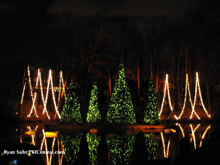 Holiday Illuminations