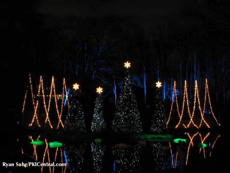 Holiday Illuminations