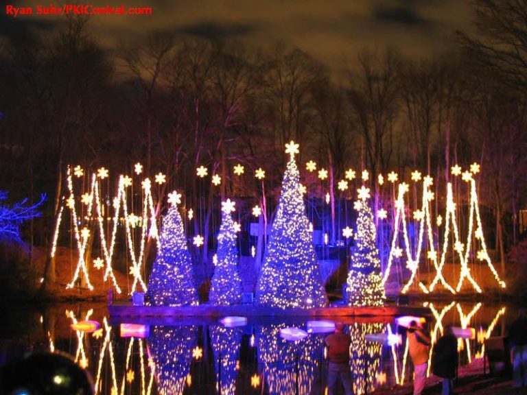 Holiday Illuminations