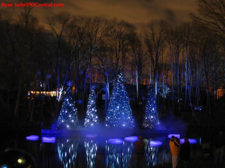 Holiday Illuminations