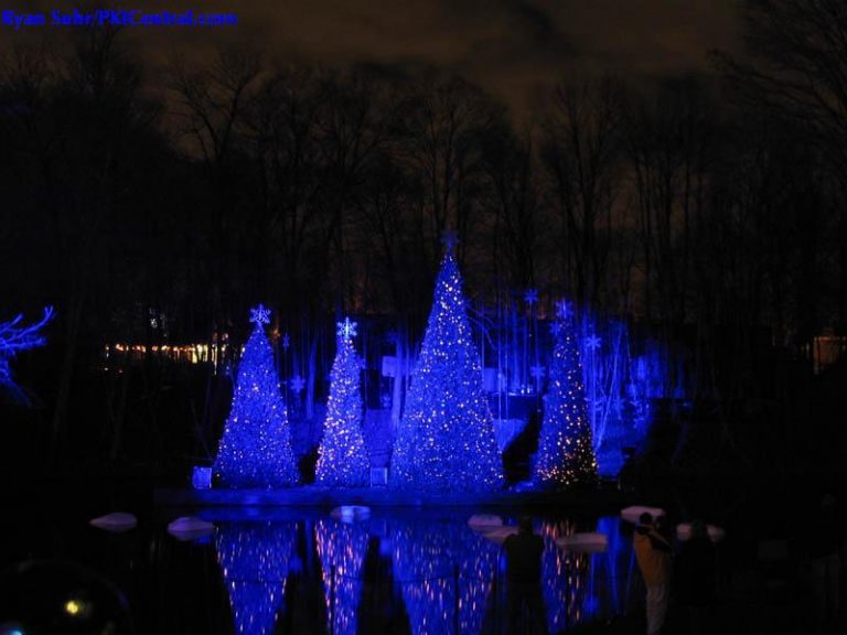 Holiday Illuminations