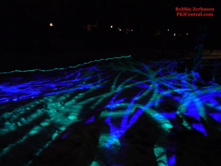 Holiday Illuminations lights on snow