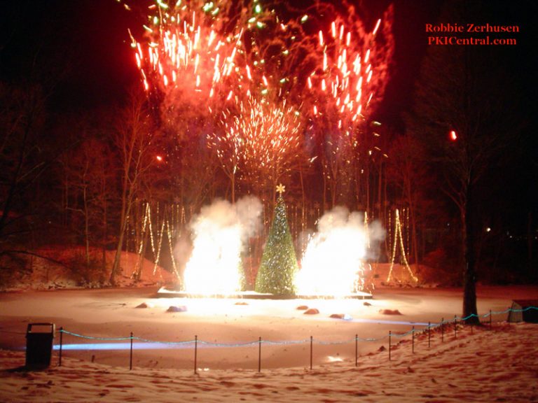 Frozen Swan Lake