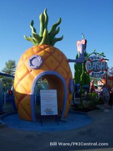 Pineapple Under The Sea