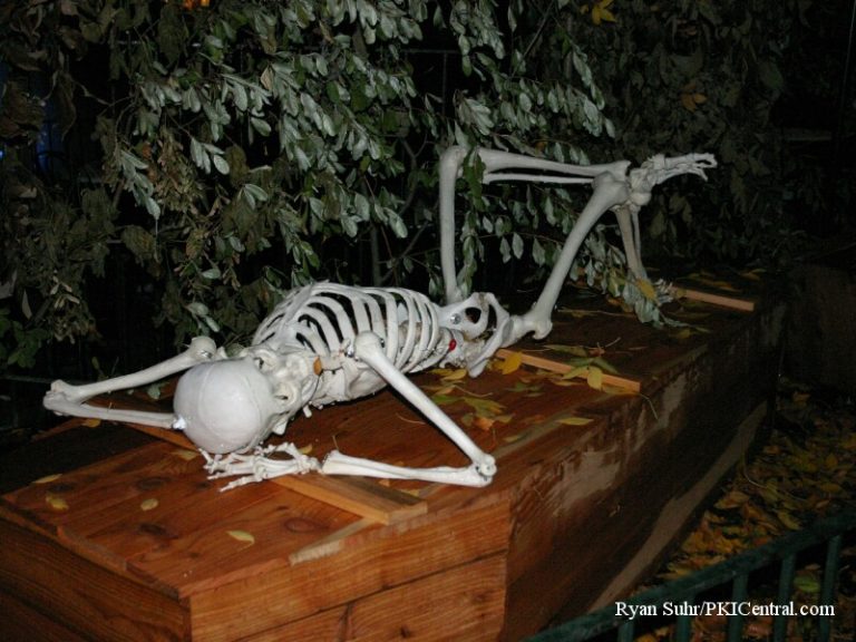 Fearfest Props