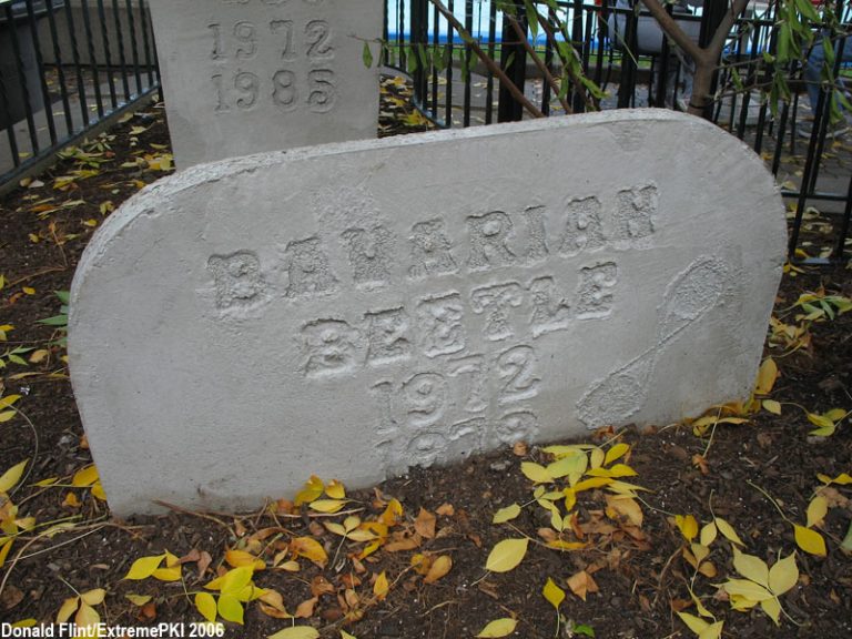 Bavarian Beetle Gravestone