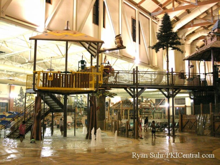 Great Wolf Lodge Indoor Waterpark — photo 14 of 53
