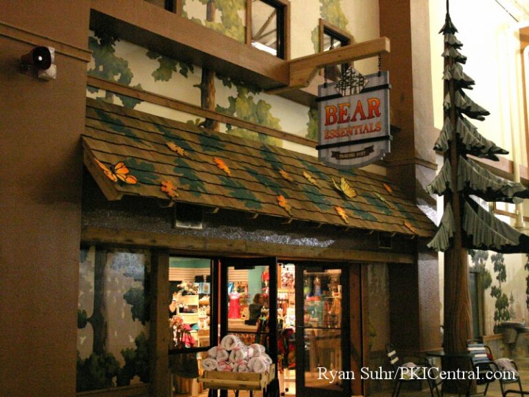 Great Wolf Lodge Indoor Waterpark — photo 17 of 53