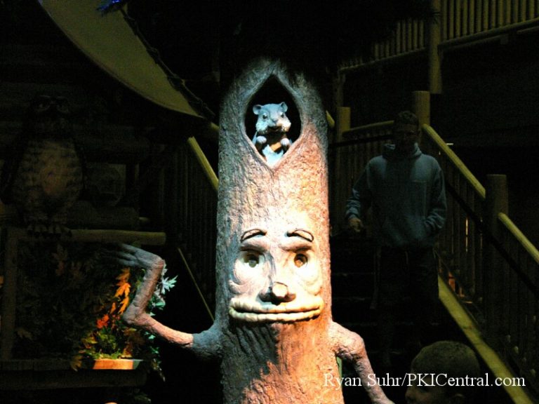Great Wolf Lodge — photo 87 of 119
