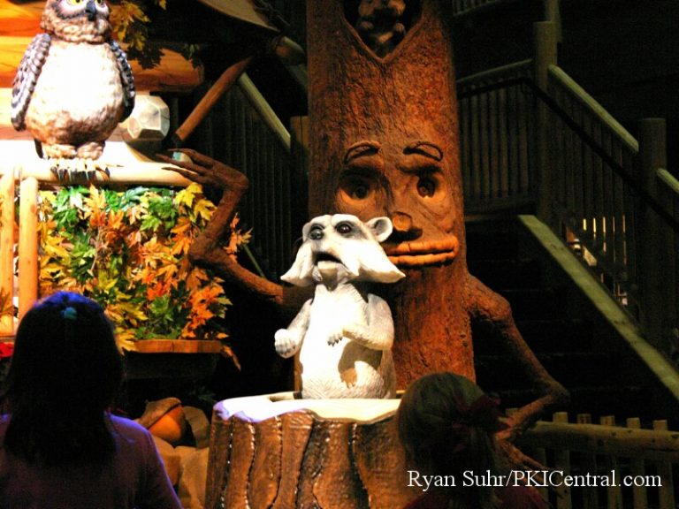 Great Wolf Lodge — photo 88 of 119