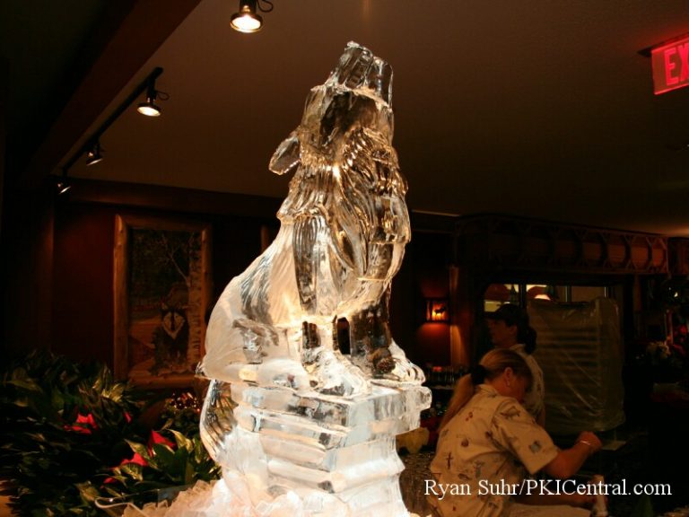 Great Wolf Lodge Grand Opening — photo 10 of 30