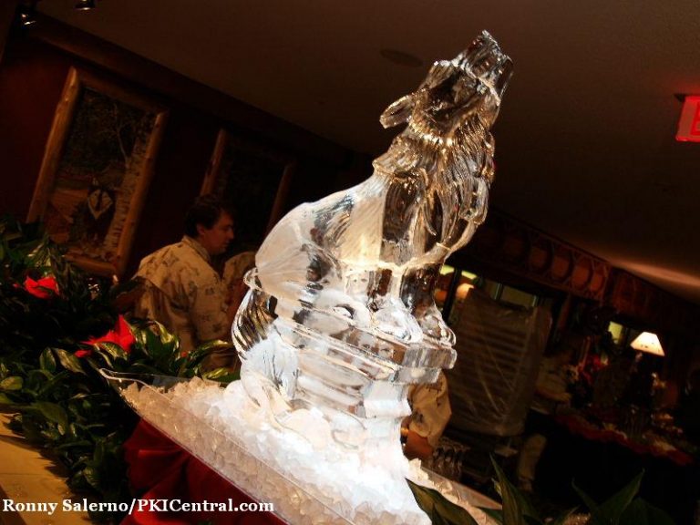 Great Wolf Lodge Grand Opening — photo 3 of 30