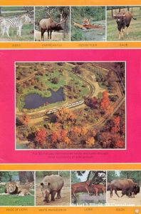 1979 Kings Island Park Guide — photo 7 of 28