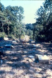 Beast Construction 1977-79 — photo 8 of 34