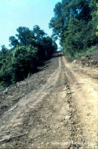 Beast Construction 1977-79 — photo 15 of 34